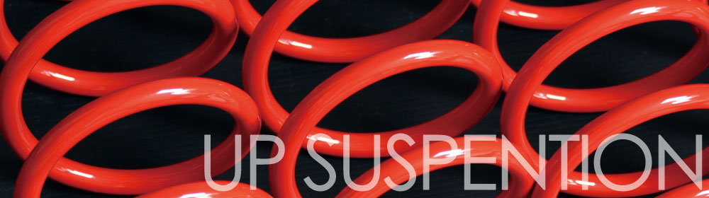 UP STYLE SUSPENTION